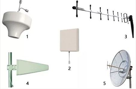 不同种类的17c一起草
应用于不同的场合